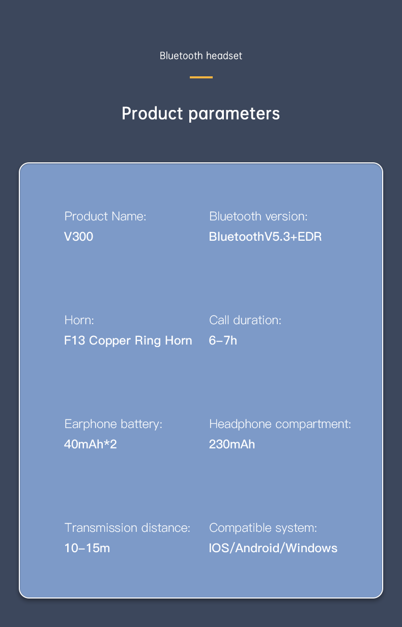 V300-1-英文_12