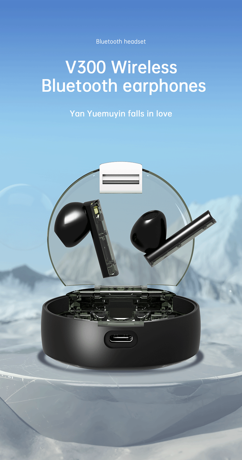 V300-1-英文_01
