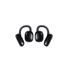 Ear-hook N10